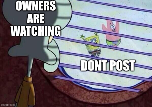 Squidward window | OWNERS ARE WATCHING DONT POST | image tagged in squidward window | made w/ Imgflip meme maker