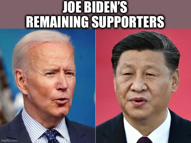 Other than Jen Psaki | JOE BIDEN’S REMAINING SUPPORTERS | image tagged in joe biden,xi jinping,democrat,memes | made w/ Imgflip meme maker