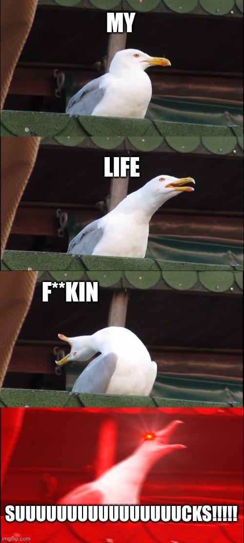 Inhaling Seagull | MY; LIFE; F**KIN; SUUUUUUUUUUUUUUUUCKS!!!!! | image tagged in memes,inhaling seagull | made w/ Imgflip meme maker