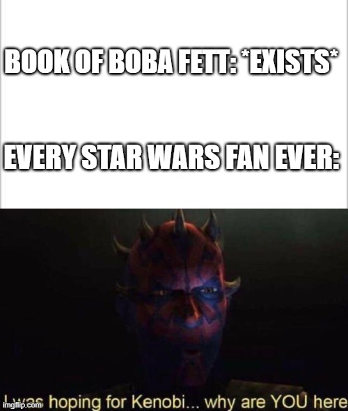 We can all relate | BOOK OF BOBA FETT: *EXISTS*; EVERY STAR WARS FAN EVER: | image tagged in white background,why are you here,kenobi,meme,funny,star wars | made w/ Imgflip meme maker