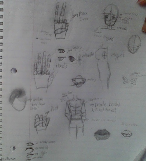 Diagram i made instead of working in ELA for when im drawing, and some random sketches bc yes | made w/ Imgflip meme maker