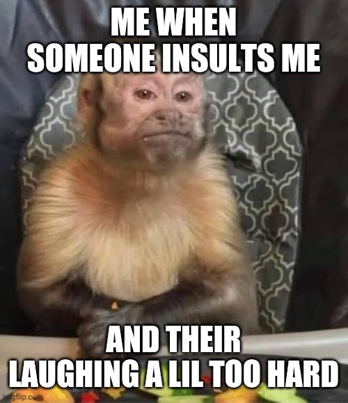 It's really not that funny | ME WHEN SOMEONE INSULTS ME; AND THEIR LAUGHING A LIL TOO HARD | image tagged in no me hara da o,insults | made w/ Imgflip meme maker