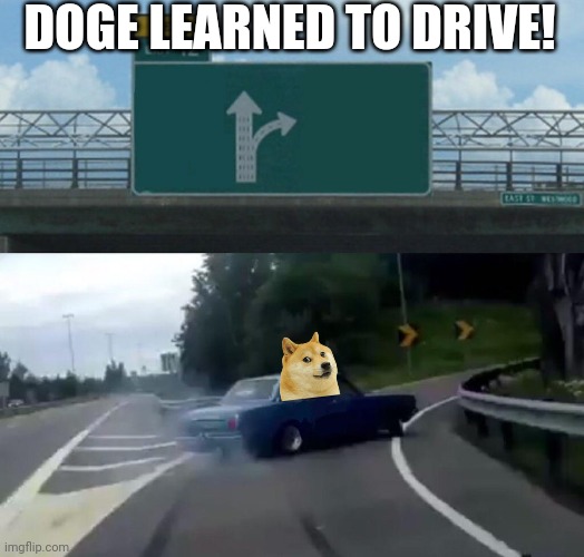 Left Exit 12 Off Ramp Meme | DOGE LEARNED TO DRIVE! | image tagged in memes,left exit 12 off ramp | made w/ Imgflip meme maker