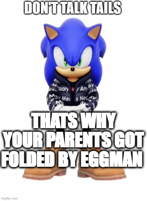 Sonic with a come back | DON'T TALK TAILS; THATS WHY YOUR PARENTS GOT FOLDED BY EGGMAN | image tagged in sonic the hedgehog,memes | made w/ Imgflip meme maker