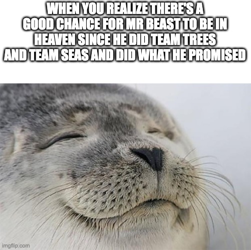 Satisfied Seal | WHEN YOU REALIZE THERE'S A GOOD CHANCE FOR MR BEAST TO BE IN HEAVEN SINCE HE DID TEAM TREES AND TEAM SEAS AND DID WHAT HE PROMISED | image tagged in memes,satisfied seal | made w/ Imgflip meme maker