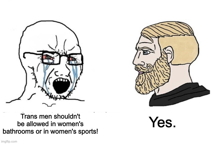 Accidental Ally | Yes. Trans men shouldn't be allowed in women's bathrooms or in women's sports! | image tagged in soyboy vs yes chad,transphobic,homophobia,sports | made w/ Imgflip meme maker