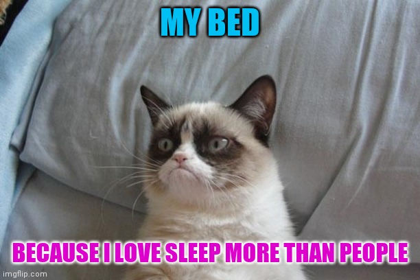 Grumpy Cat Bed Meme | MY BED BECAUSE I LOVE SLEEP MORE THAN PEOPLE | image tagged in memes,grumpy cat bed,grumpy cat | made w/ Imgflip meme maker