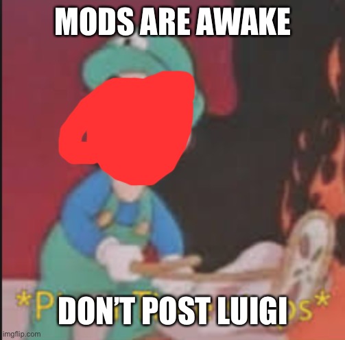 Pizza Time Stops | MODS ARE AWAKE; DON’T POST LUIGI | image tagged in pizza time stops | made w/ Imgflip meme maker