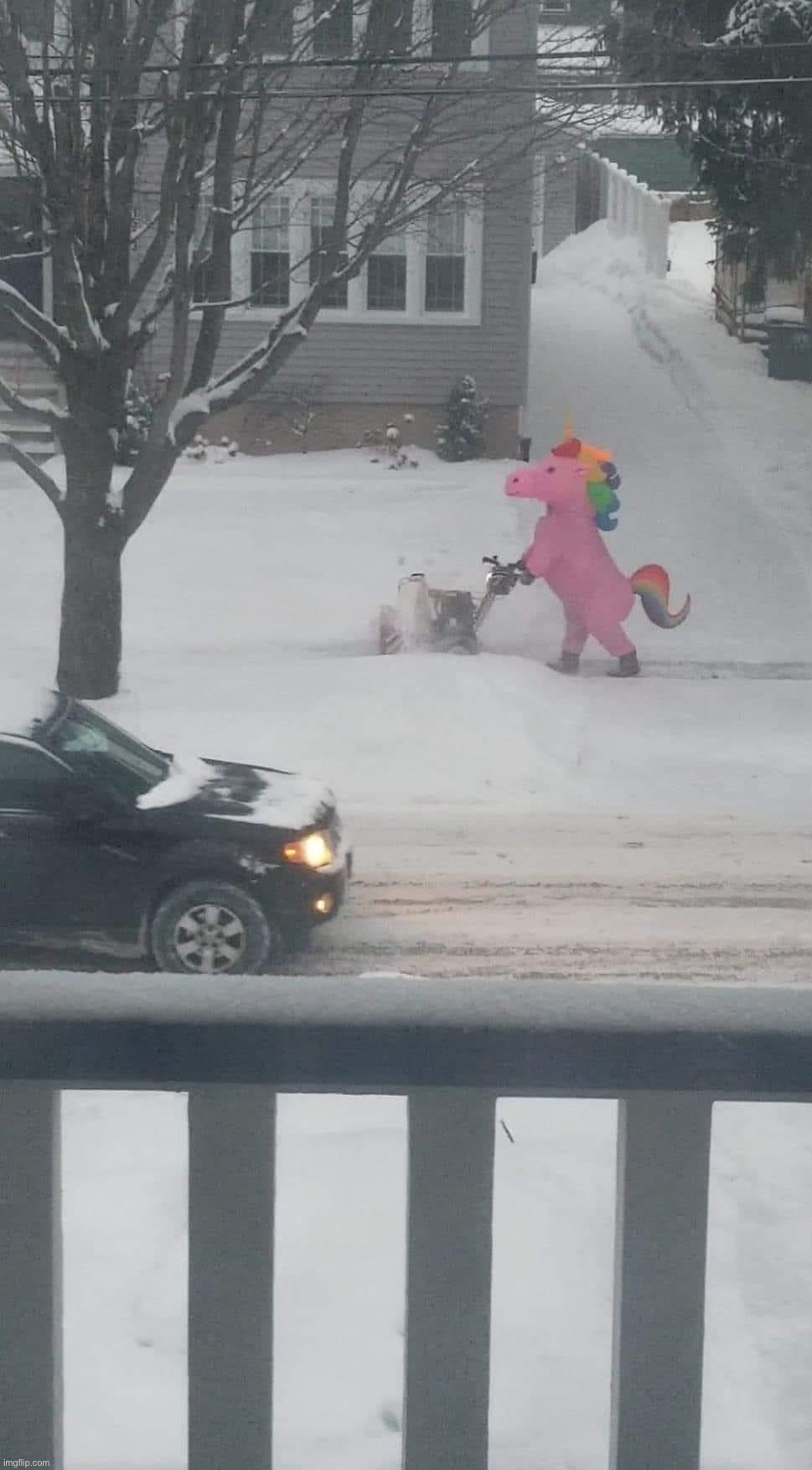 v rare snow unicorn | image tagged in unicorn in snow | made w/ Imgflip meme maker