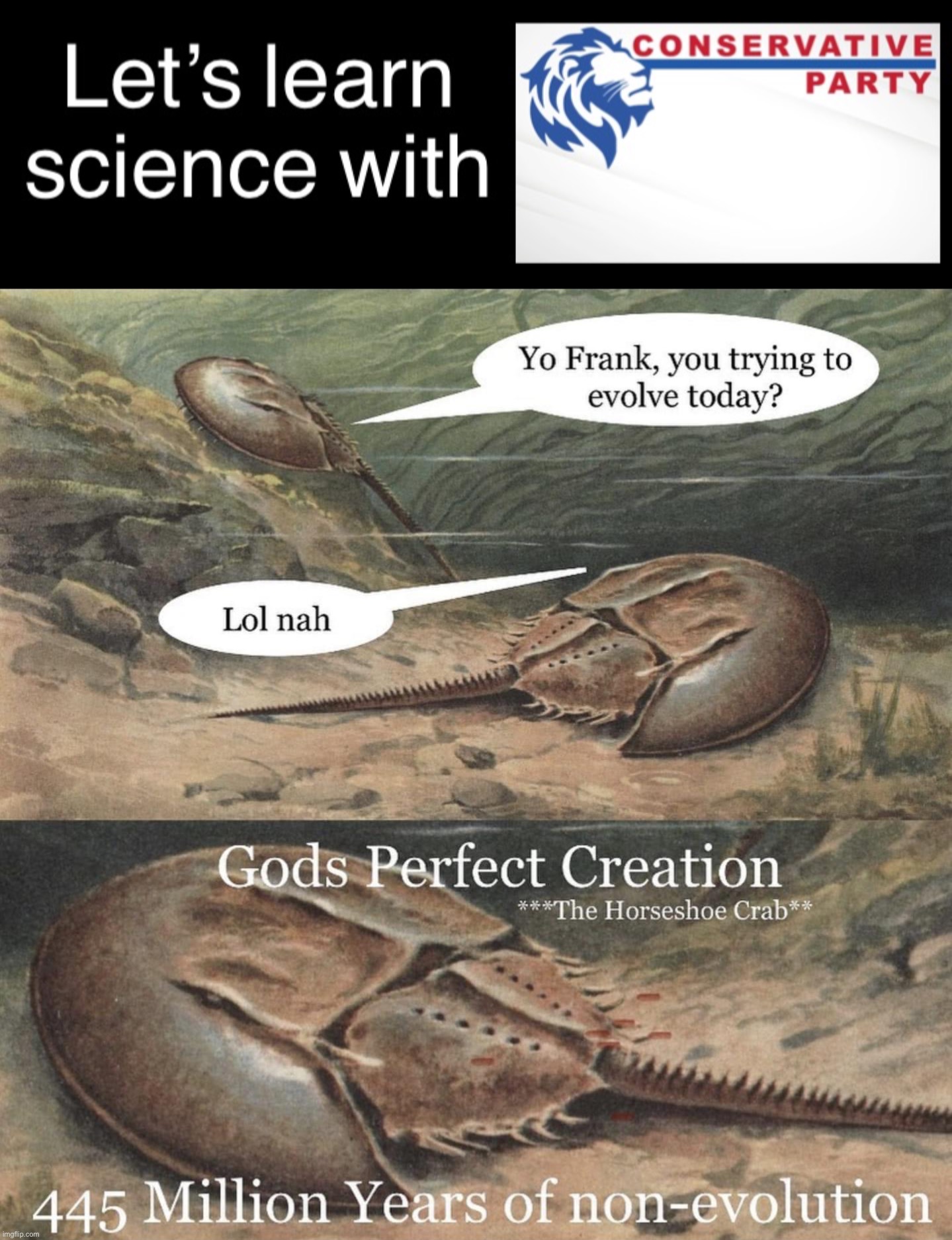 If evolution is a thing, explain this. Checkm8 gg libz | image tagged in let s learn science with conservative party,horseshoe crab,checkm8,gg,libz,libtrads | made w/ Imgflip meme maker
