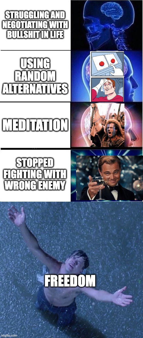 Stop fighting the wrong enemy | STRUGGLING AND NEGOTIATING WITH BULLSHIT IN LIFE; USING RANDOM ALTERNATIVES; MEDITATION; STOPPED FIGHTING WITH WRONG ENEMY; FREEDOM | image tagged in memes,expanding brain,shawshank redemption freedom | made w/ Imgflip meme maker