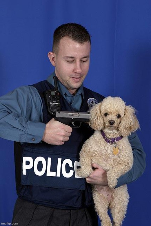 Dog Killing Cop | image tagged in dog killing cop | made w/ Imgflip meme maker