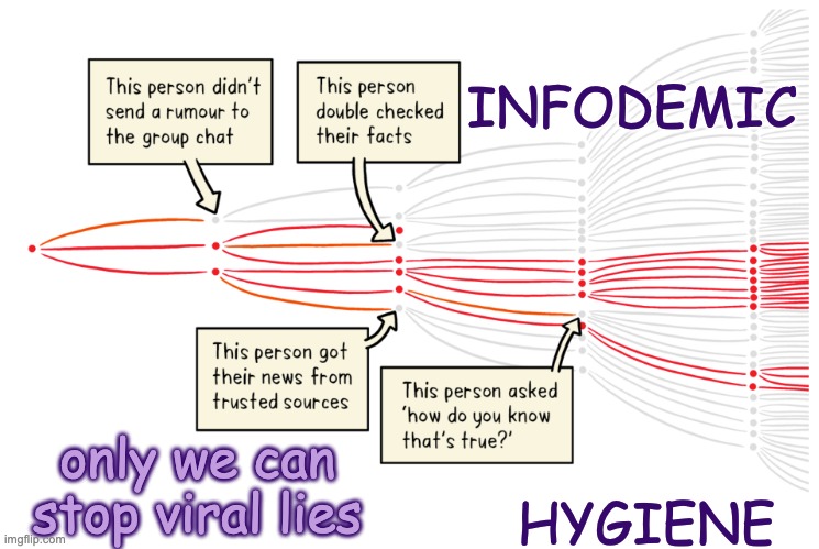 data plagues are real | INFODEMIC; only we can stop viral lies; HYGIENE | image tagged in infodemic,pandemic,information,fake news | made w/ Imgflip meme maker