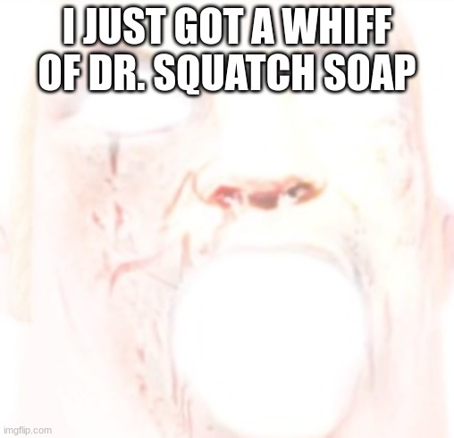 I JUST GOT A WHIFF OF DR. SQUATCH SOAP | made w/ Imgflip meme maker