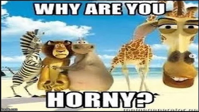 image tagged in why are you horny | made w/ Imgflip meme maker