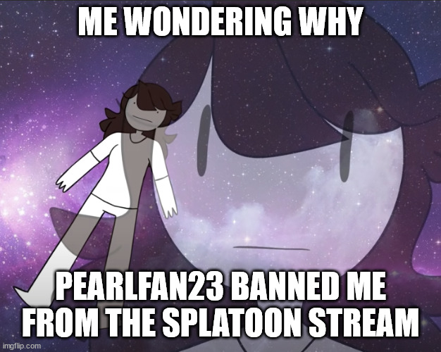 could somebody tell me why please | ME WONDERING WHY; PEARLFAN23 BANNED ME FROM THE SPLATOON STREAM | image tagged in galaxy jaiden | made w/ Imgflip meme maker