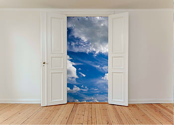 High Quality Door Blank Meme Template