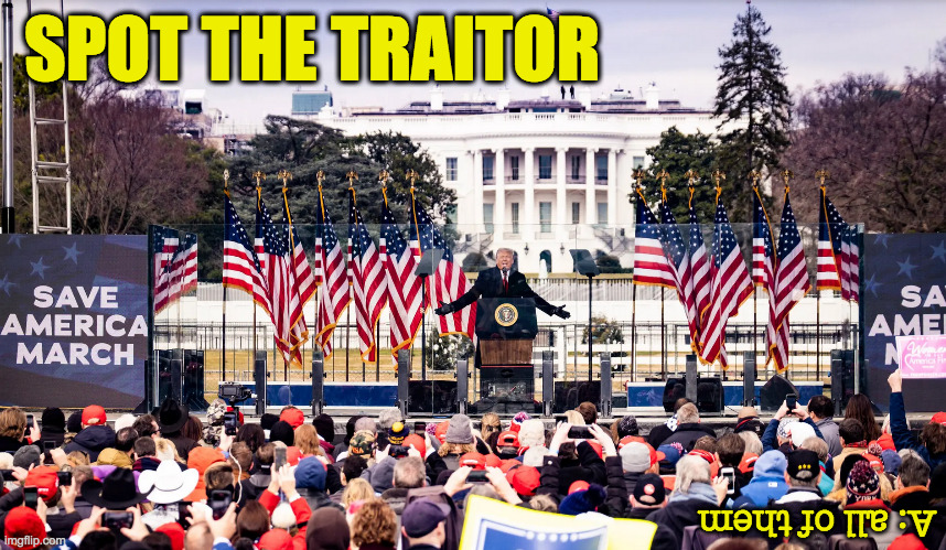 Spot the traitor. | SPOT THE TRAITOR; A: all of them | image tagged in memes,spot the traitor,trump,january 6 | made w/ Imgflip meme maker