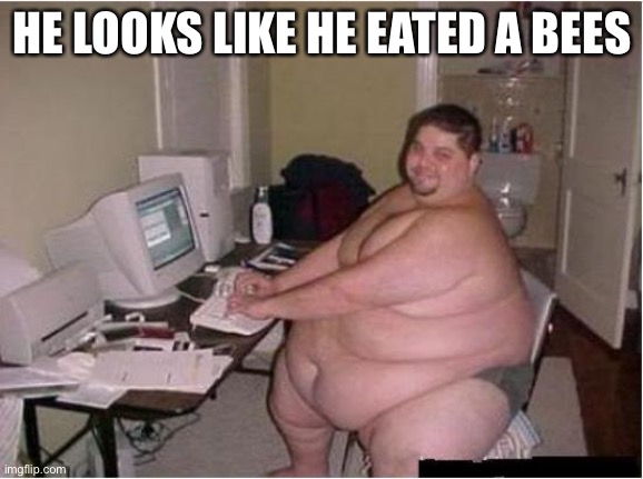 really fat guy on computer | HE LOOKS LIKE HE EATED A BEES | image tagged in really fat guy on computer | made w/ Imgflip meme maker