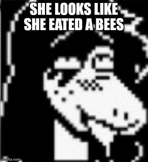 The | SHE LOOKS LIKE SHE EATED A BEES | image tagged in the | made w/ Imgflip meme maker