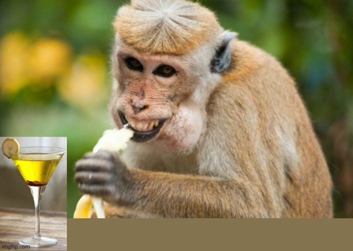 . | image tagged in happy monkey,martini,banana | made w/ Imgflip meme maker