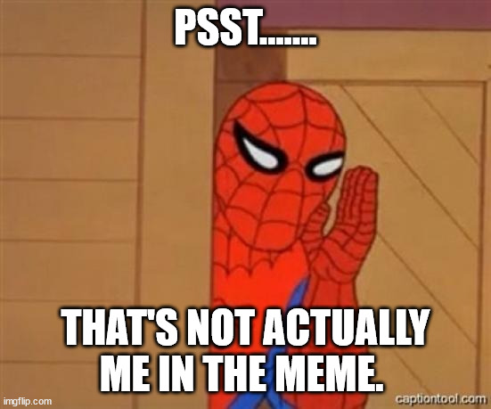 spiderman psst | PSST....... THAT'S NOT ACTUALLY ME IN THE MEME. | image tagged in spiderman psst | made w/ Imgflip meme maker