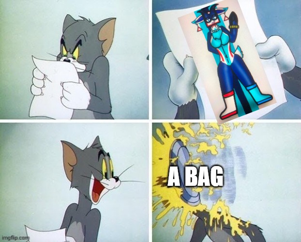 no title needed | A BAG | image tagged in tom,tom and jerry | made w/ Imgflip meme maker