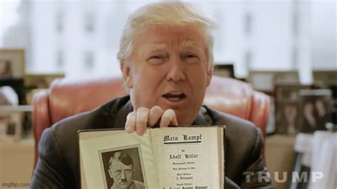Trump's favorite book can you read it to me? | image tagged in donald trump,adolf hitler,maga,nazis | made w/ Imgflip meme maker
