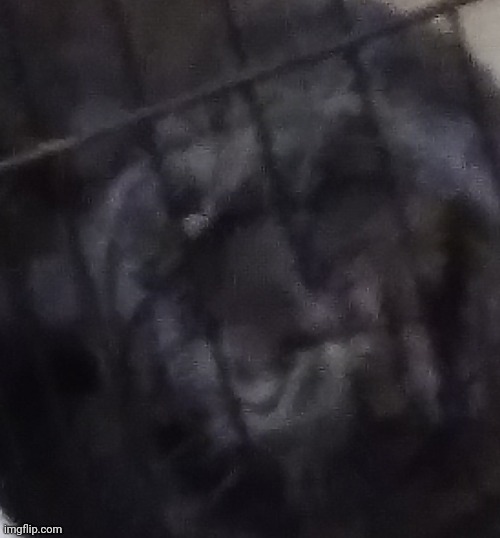 Rabbit jail | made w/ Imgflip meme maker