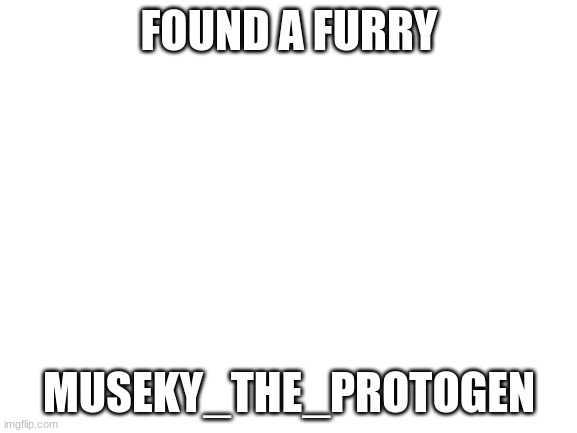 Blank White Template | FOUND A FURRY; MUSEKY_THE_PROTOGEN | image tagged in blank white template | made w/ Imgflip meme maker