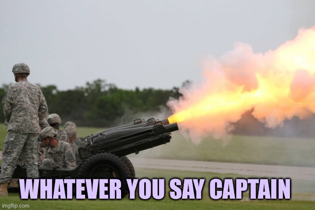 Fire the cannon | WHATEVER YOU SAY CAPTAIN | image tagged in fire the cannon | made w/ Imgflip meme maker