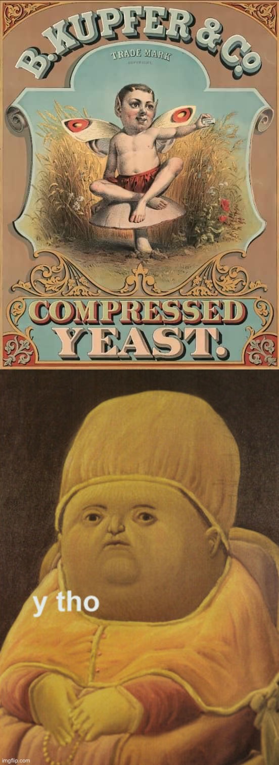 image tagged in compressed yeast,y tho baby | made w/ Imgflip meme maker