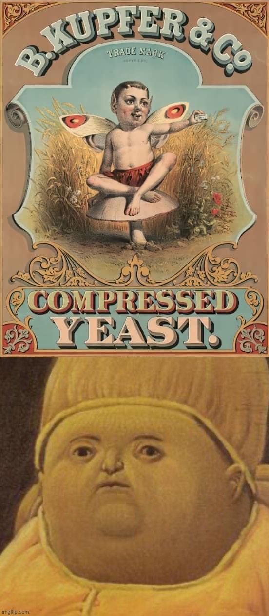 Y tho | image tagged in compressed yeast,y tho | made w/ Imgflip meme maker