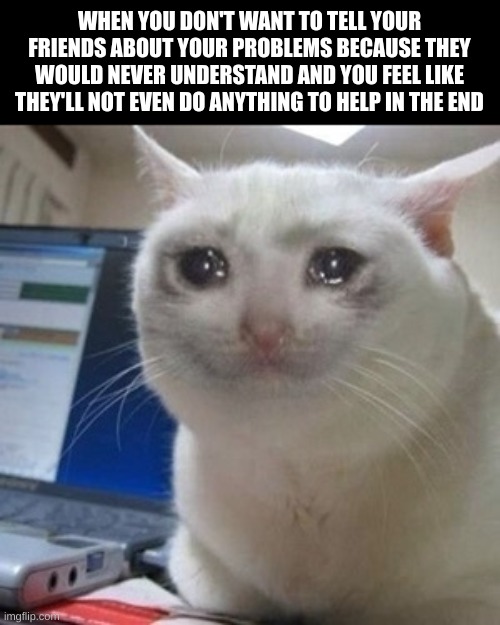 Facts | WHEN YOU DON'T WANT TO TELL YOUR FRIENDS ABOUT YOUR PROBLEMS BECAUSE THEY WOULD NEVER UNDERSTAND AND YOU FEEL LIKE THEY'LL NOT EVEN DO ANYTHING TO HELP IN THE END | image tagged in crying cat | made w/ Imgflip meme maker