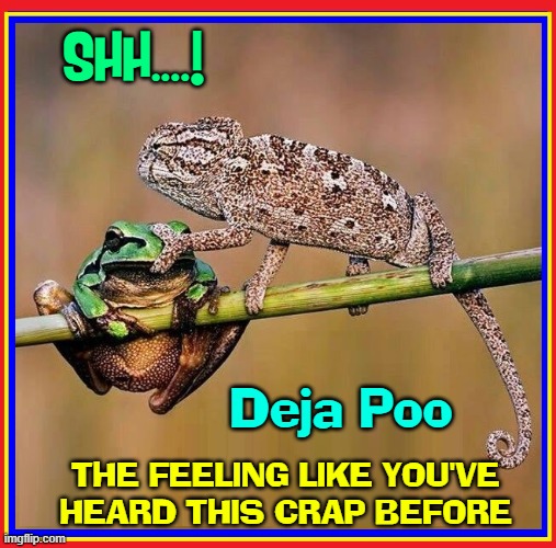 Don't ruin this moment (or the rest of my life) by speaking |  SHH....! Deja Poo; THE FEELING LIKE YOU'VE HEARD THIS CRAP BEFORE | image tagged in vince vance,lizards,frogs,deja vu,memes,same old same old | made w/ Imgflip meme maker