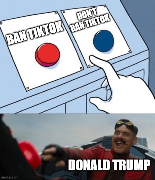 tiktok | DON'T BAN TIKTOK; BAN TIKTOK; DONALD TRUMP | image tagged in robotnik button | made w/ Imgflip meme maker
