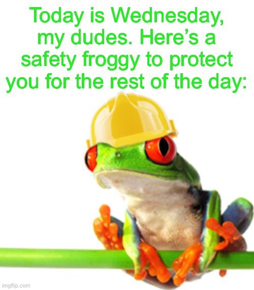 Safety froggy |  Today is Wednesday, my dudes. Here’s a safety froggy to protect you for the rest of the day: | image tagged in safety,frog,it is wednesday my dudes,frogs,memes,funny | made w/ Imgflip meme maker