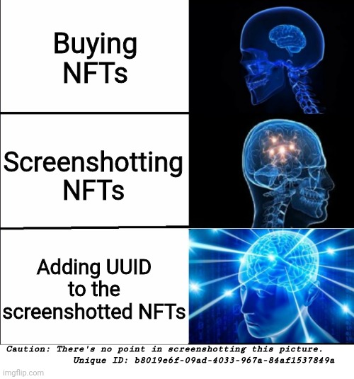 pls dont be a thief |  Buying NFTs; Screenshotting NFTs; Adding UUID to the screenshotted NFTs; Caution: There's no point in screenshotting this picture.  
            Unique ID: b8019e6f-09ad-4033-967a-84af1537849a | image tagged in galaxy brain 3 brains | made w/ Imgflip meme maker