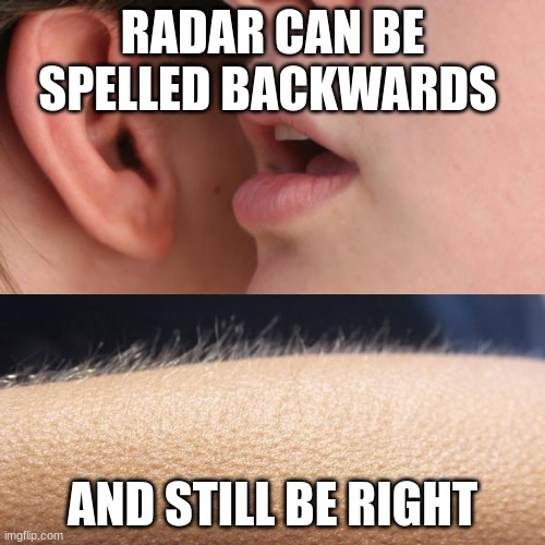 Radar can be spelled backwards | RADAR CAN BE SPELLED BACKWARDS; AND STILL BE RIGHT | image tagged in whisper and goosebumps | made w/ Imgflip meme maker