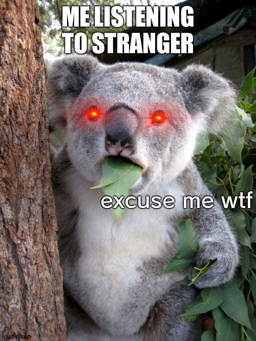 Surprised Koala Meme | ME LISTENING TO STRANGER; excuse me wtf | image tagged in memes,surprised koala | made w/ Imgflip meme maker