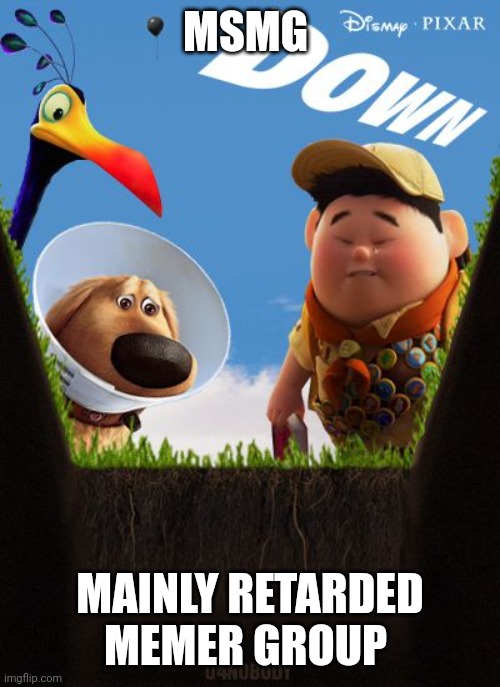 Down | MSMG; MAINLY RETARDED MEMER GROUP | image tagged in down | made w/ Imgflip meme maker
