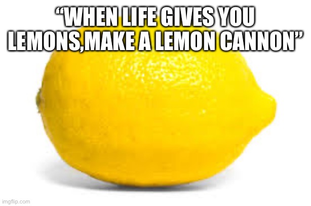 When life gives you lemons, X | “WHEN LIFE GIVES YOU LEMONS,MAKE A LEMON CANNON” | image tagged in when life gives you lemons x | made w/ Imgflip meme maker