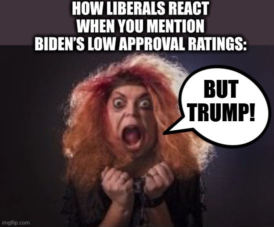 TDS can never be cured. | HOW LIBERALS REACT WHEN YOU MENTION BIDEN’S LOW APPROVAL RATINGS:; BUT TRUMP! | image tagged in trump derangement syndrome,joe biden,liberal logic,liberal hypocrisy,memes,stupid liberals | made w/ Imgflip meme maker