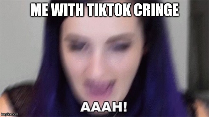 ahh | ME WITH TIKTOK CRINGE | image tagged in ahh | made w/ Imgflip meme maker