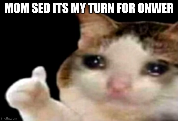 Sad cat thumbs up | MOM SED ITS MY TURN FOR ONWER | image tagged in sad cat thumbs up | made w/ Imgflip meme maker