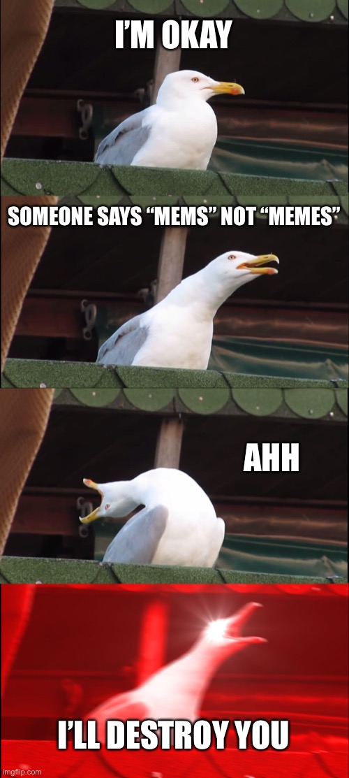 Inhaling Seagull Meme | I’M OKAY; SOMEONE SAYS “MEMS” NOT “MEMES”; AHH; I’LL DESTROY YOU | image tagged in memes,inhaling seagull | made w/ Imgflip meme maker