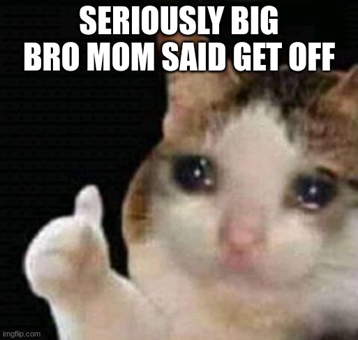 sad thumbs up cat | SERIOUSLY BIG BRO MOM SAID GET OFF | image tagged in sad thumbs up cat | made w/ Imgflip meme maker