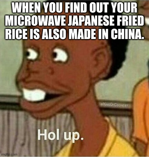 hol up | WHEN YOU FIND OUT YOUR MICROWAVE JAPANESE FRIED RICE IS ALSO MADE IN CHINA. | image tagged in hol up | made w/ Imgflip meme maker