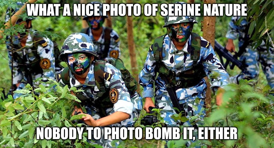 Buteyfull | WHAT A NICE PHOTO OF SERINE NATURE; NOBODY TO PHOTO BOMB IT, EITHER | made w/ Imgflip meme maker