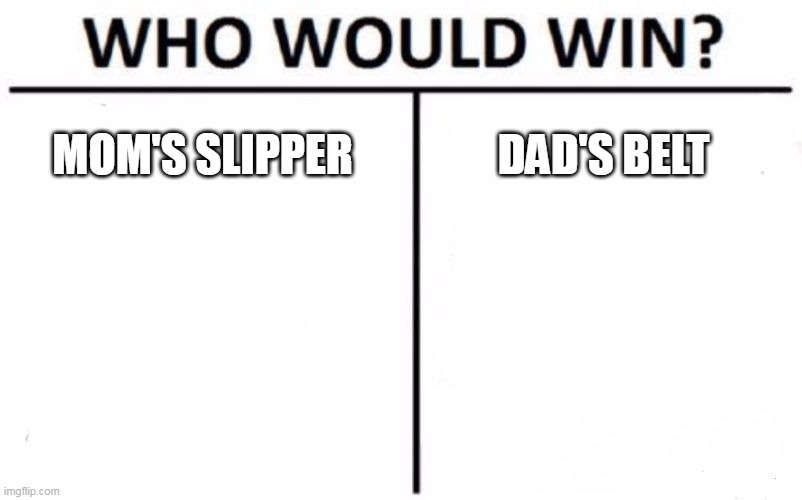 Who Would Win? | MOM'S SLIPPER; DAD'S BELT | image tagged in memes,who would win | made w/ Imgflip meme maker